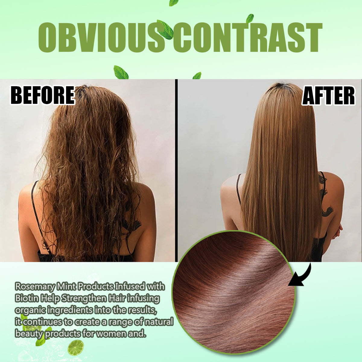 EELHOE Rosemary Mint Shampoo for Dry, Frizzy Hair