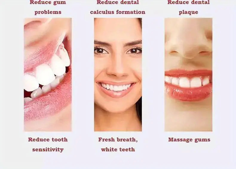 Electric Toothbrush with 5 Modes & 3 Brush Heads
