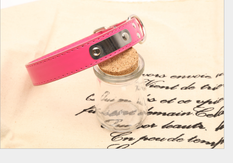 Personalized Dog Collar - Pet Accessories
